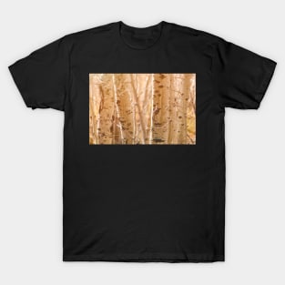 Aspens T-Shirt